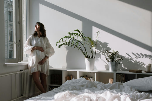 The Wellness Benefits of Indoor Plants: How Greenery Enhances Your Mind, Body, and Space