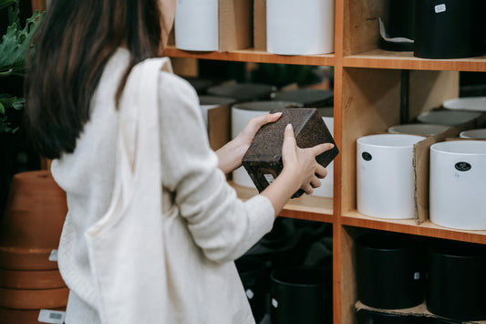 The Gilded Touch: Choosing Pots That Fit Your Décor