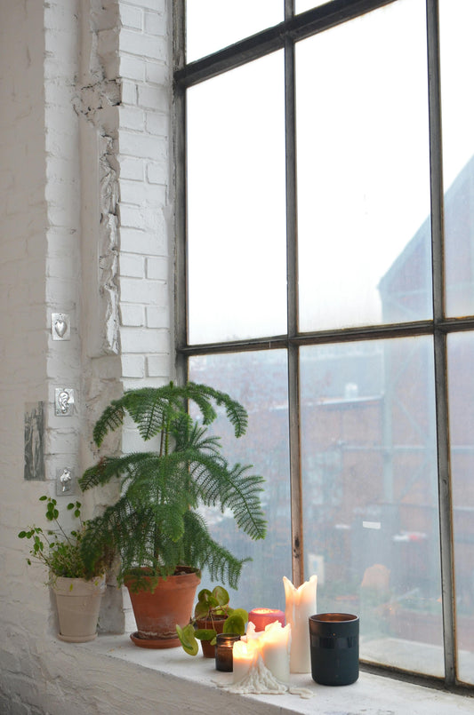 Creating a Zen Space with Plants: Your Guide to Tranquil Greenery
