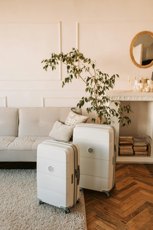 Holiday Plant Care: How to Keep Your Greenery Happy While You Travel