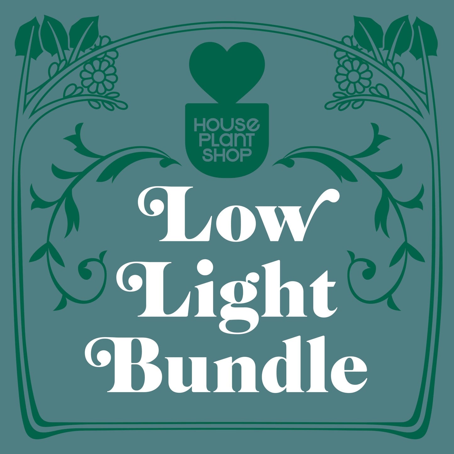 Mystery Low Light Bundle